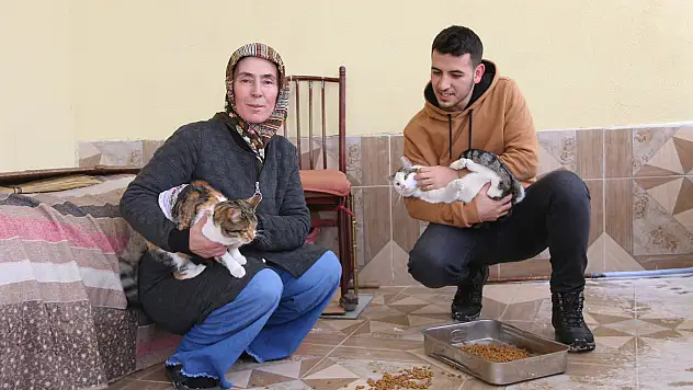 Dişinden arttırdığını kedilere veriyor