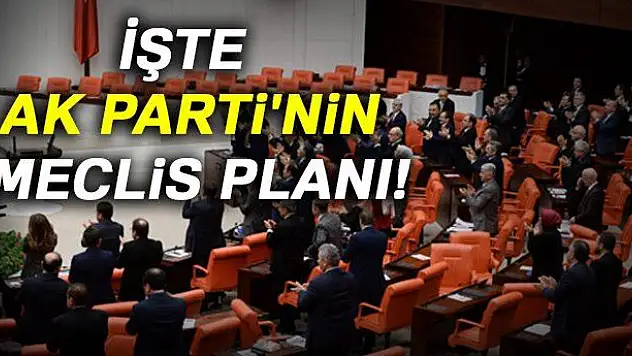Kritik plan