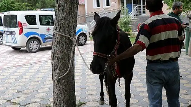  Atını aracına bağlayıp götüren kişi hakkında soruşturma başlatıldı