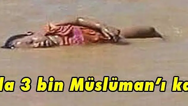 Arakan'da 3 bin Müslümanı katlettiler