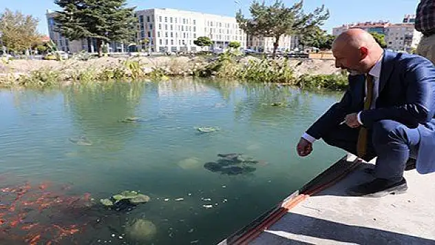 KOCASİNAN'DAN KAYSERİ'YE EKOLOJİK GÖLETLİ DOĞAL YAŞAM ALANI