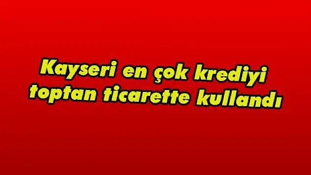 Kayseri en çok krediyi toptan ticarette kullandı