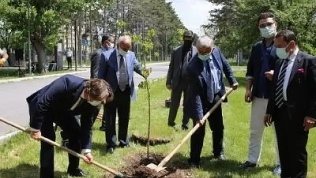 KAYEMA, AGÜ'yü ağaçlandırdı 