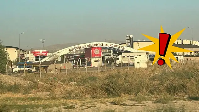 Kayseri Hal'inde fiyat şampiyonu ürünler belli oldu!