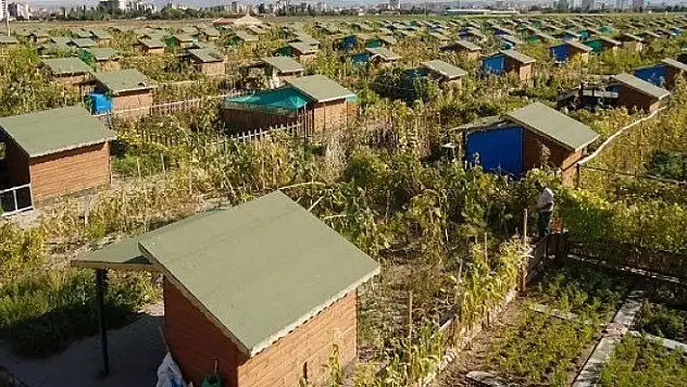 Kayseri Hobi Bahçeleri'nde isyan büyüyor: Sakinler bahçelerini terk ediyor!