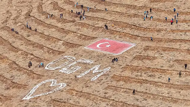 Kayseri'nin 16 ilçesinde yapıldı - Binlerce ağaç toprakla birleşti!