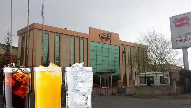 Kayseri'nin gıda devi kaynağı kaptı: Su ruhsatı 9,5 milyon ödemeyle şirkete devredildi!