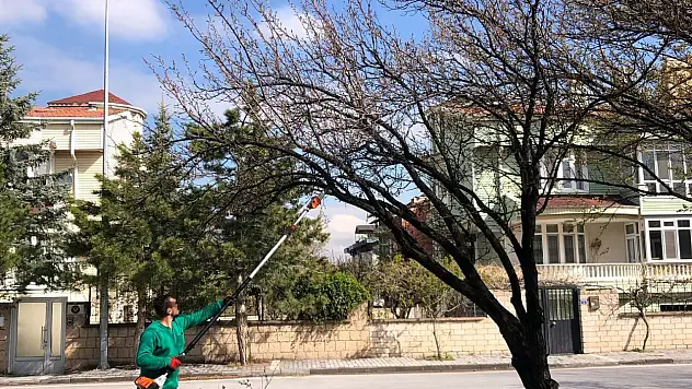 Kayseri'nin görünüşü değişiyor: Büyükşehir Belediyesi çalışmalarına hız verdi!