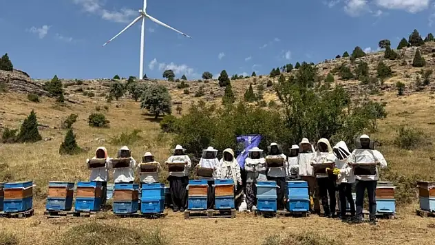 Kayseri'nin ilçesinde kadınların emeği karşılığını buldu! İlk hasat yapıldı