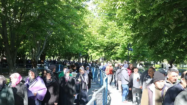 Kayseri'nin ilçesinde ücretsiz domates fidesi dağıtılacak!