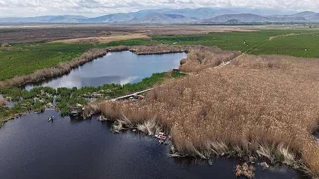 Kayseri'nin kuş cennetinde çalışmalar tüm hızıyla sürüyor!