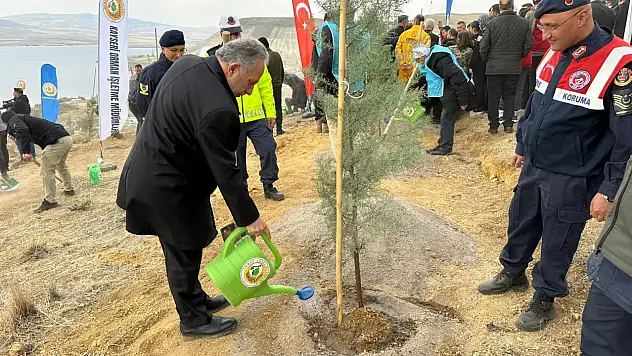 Kayseri'nin meşhur dağı yeşilleniyor