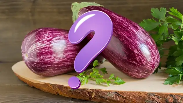 Kayseri'nin meşhur yamula patlıcanı için geri sayım! İlk hasat ne zaman?