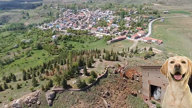 Kayseri'nin Molu Mahallesi'ndeki tesise dev alım!