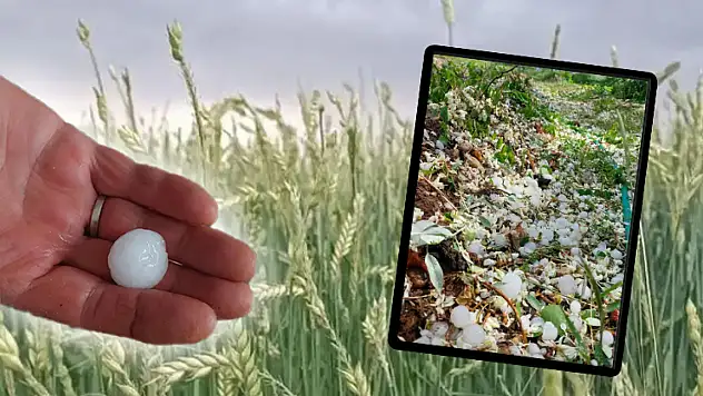 Kayseri'nin o ilçesinde dolu yağışı: Tarım ürünleri zarar gördü!