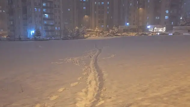 Kayseri'nin soğuk havasına dayanamadı donarak öldü