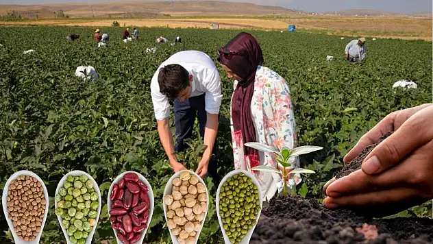 Kayseri'nin tarımsal üretimdeki gücü ortaya çıktı!