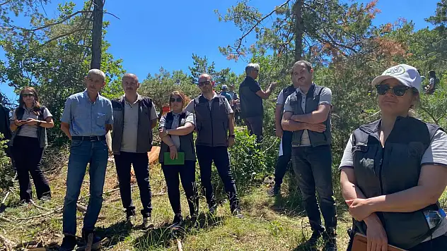 Kayseri OBM sahada: Orman zararlıları ile nasıl mücadele edilecek? İşte o eğitimin detayları...