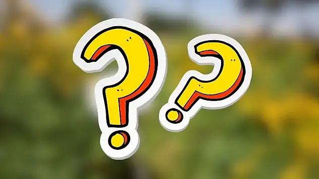 Kayseri ormanlarında saklı bir mucize: Bu bitki sağlık için ne kadar etkili?