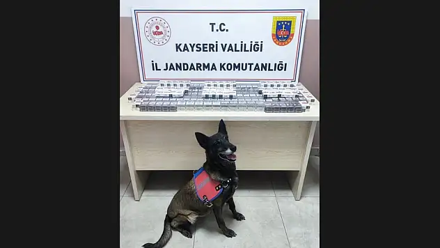 Kayseri Pınarbaşı'da kaçak sigara ele geçirildi!