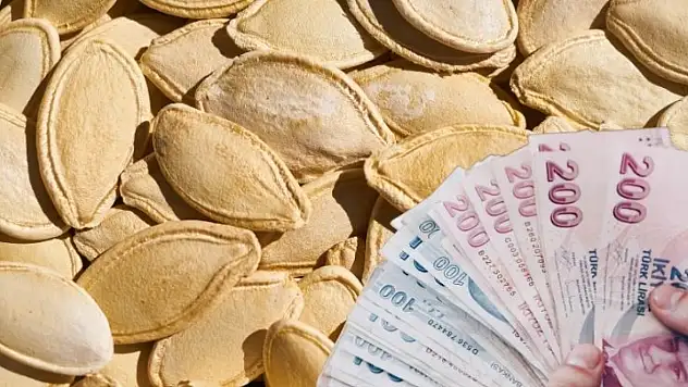 Kayseri Şeker 2025 kabak çekirdeği fiyatını açıkladı!