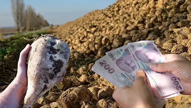 Kayseri Şeker'den rekor fiyat! Ton ücreti belli oldu