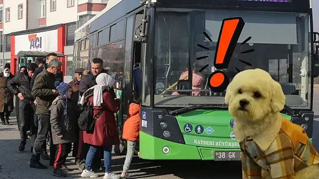 Kayseri Ulaşım yönetmeliği ortalığı karıştırdı: Evcil hayvan seyahat kurallarının doğrusu nedir?