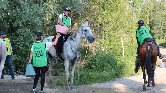 Kayseri, Ulusal Türkiye Şampiyonası ve Uluslararası Atlı Dayanıklılık Yarışmaları'na ev sahipliği yaptı