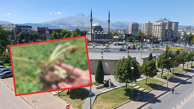 Kayseri ve Konya'nın ortak derdi: Sünger gibi…