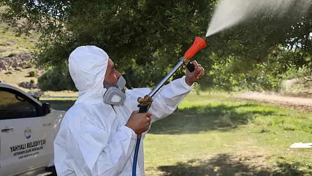 Kayseri yaylalarında yaz temizliği: Haşerelere karşı harekete geçildi