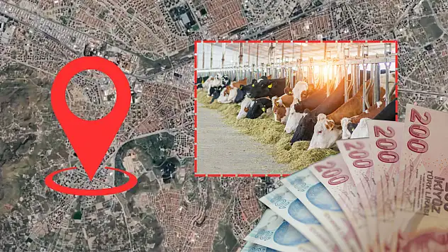 Kayseri'ye 21 milyon TL değerinde büyükbaş hayvancılık işletmesi!