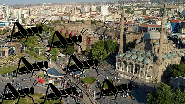 Kayseri'yi dört bir yandan kuşattılar, her evden çıkıyorlar: En çok da bu mahalledeler!