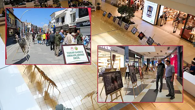 Kayseri, Yozgat, Sivas, Niğde, Nevşehir'de Yeşil Vatan için anlamlı sergi...