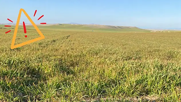 Kayserili çiftçiler için tehlike çanları çalıyor – Tarımda kritik sürecin endişesi başladı!