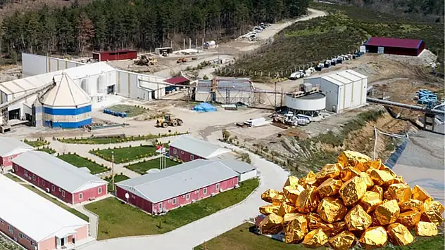 Kayserili iş insanı başardı: Cevher ihracatı başladı, hisseler fırladı!