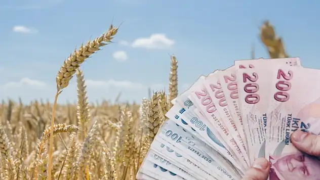 Kayserili üretici bu haberi bekliyordu: TMO buğday ve arpa fiyatı için o tarihi işaret etti!