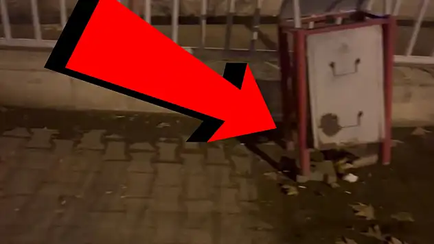 Kayserililer tedirgin – Sokak ortasında geziyorlar! Adeta bir istila…