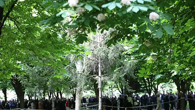 Kayserililere davet var - Binlerce dağıtılacak!