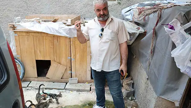 1 yıldır her hafta gelip çalıyor! Kedi maması hırsızı kamerada!