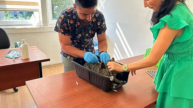 Kimliklendirme için son tarih 31 Aralık