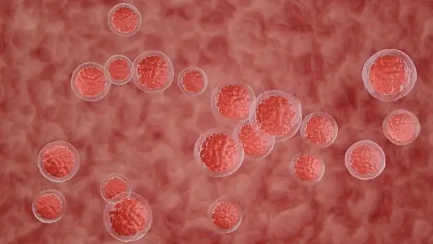 Kemik iliği naklinde test ücretlerine SGK güvencesi