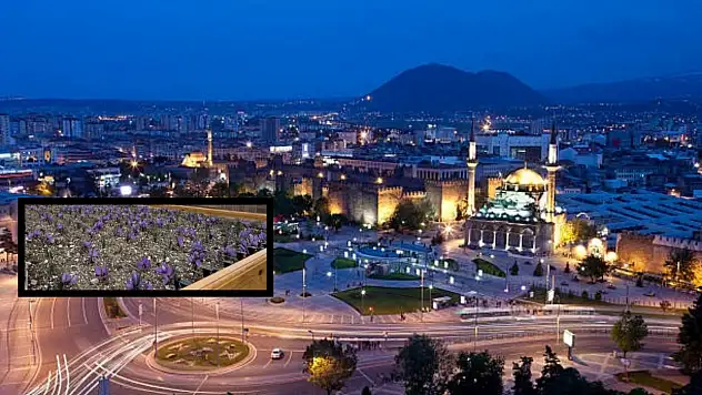 Kilosu 600 bin TL – Kayseri Ülkü Ocakları yetiştirmeye başladı!