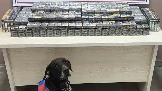 Kayseri'de kimlik kontrolü için durdurulmuştu: Yüzlercesi ele geçirildi!