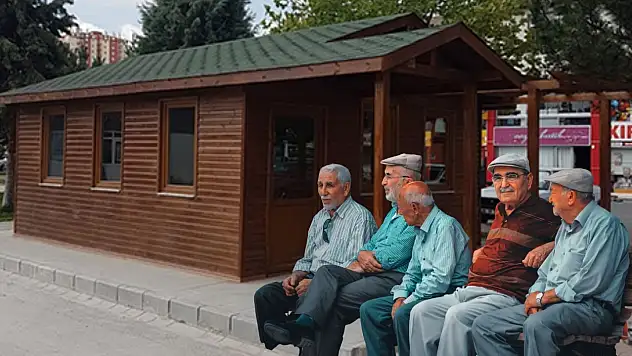 Koca çınarlar istedi, Kayserili belediye ihaleye çıktı! Tam 4 adet yaptırılacak!