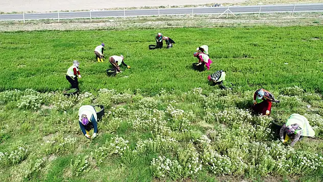 Kocasinan Belediyesi 8 Mart Dünya Kadınlar günü mesajında projelerine değindi