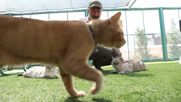 Kocasinan Belediyesi'nden Büyük Hassasiyet!