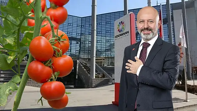 Tarih verildi: Kocasinan'da geleneksel domates fidesi dağıtımı başlıyor!