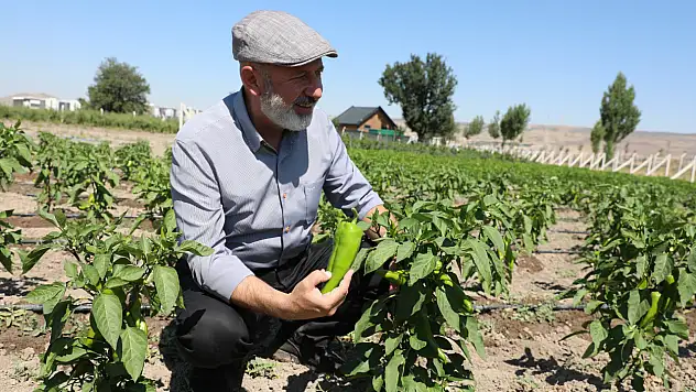 Kocasinan'da tarıma büyük destek: Tarihler belli oldu!