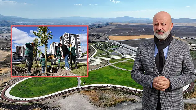 Kocasinan'da yeşil gelecek: Hedef 5 milyon metrekare!