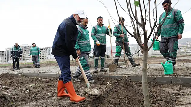 Kocasinan'dan 'meyveli park' projesi